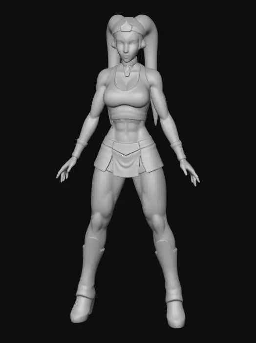 3D model for Input Image