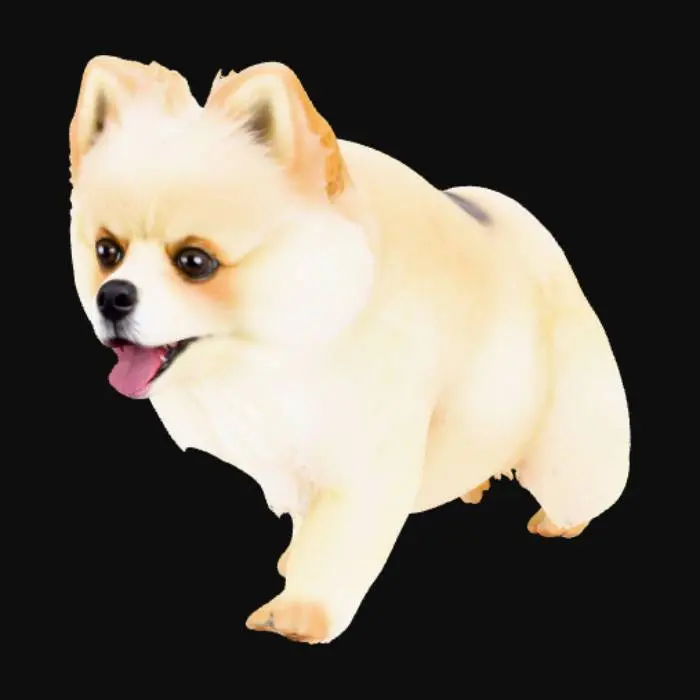 3D model for Pomeranians are small, fluffy Spitz-type dogs from Germany and Poland, known for their big-dog personalities, intelligent and alert nature, and luxurious double coats available in many colors. These lively and active toys are highly trainable, making them excellent for activities like agility, but require regular brushing and potential training to manage their high energy and watchdog tendencies. They are generally healthy but prone to issues like collapsed trachea and require regular dental care.  This is a white pomeranian dog. It is female. it appears to be excited. Disney style dog.