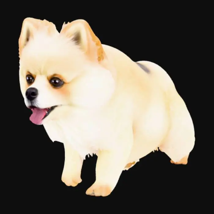 3D model for Pomeranians are small, fluffy Spitz-type dogs from Germany and Poland, known for their big-dog personalities, intelligent and alert nature, and luxurious double coats available in many colors. These lively and active toys are highly trainable, making them excellent for activities like agility, but require regular brushing and potential training to manage their high energy and watchdog tendencies. They are generally healthy but prone to issues like collapsed trachea and require regular dental care.  This is a white pomeranian dog. It is female. it appears to be excited. Disney style dog.