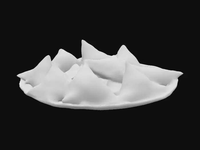 3D model for Samosas Plate