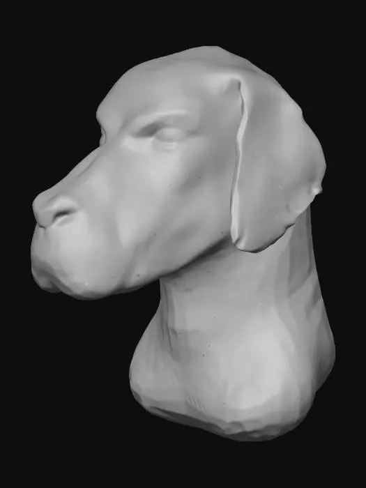 3D model for Regal Gaze