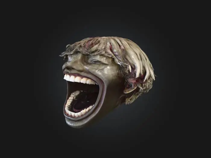 3D model for Laughter Echo