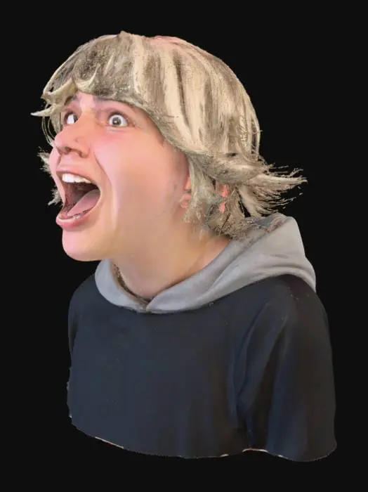 3D model for Excited Crowd Moment