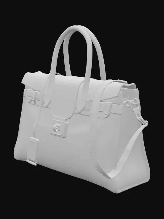 3D model for 一个奢侈的包