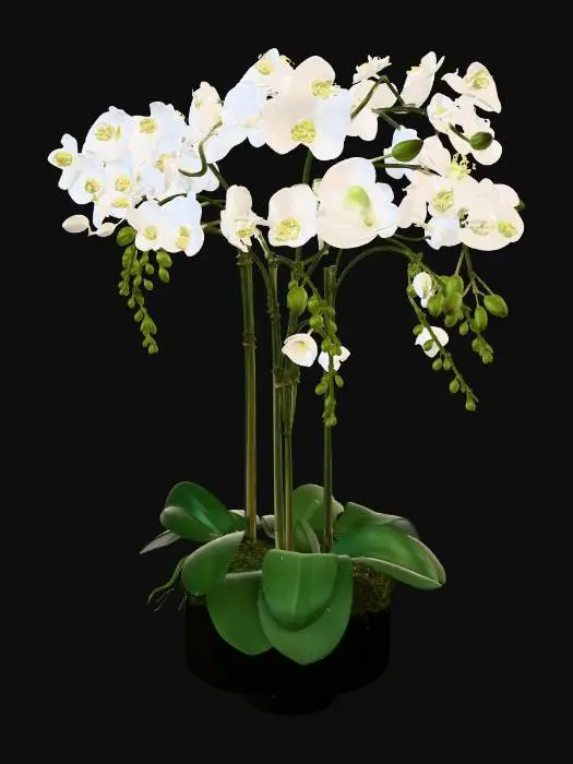 3D model for Faux Orchid Plant For Weathered Stone Tulip Pedestal Bowl - Small