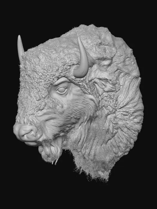 3D model for Curly Bison Portrait