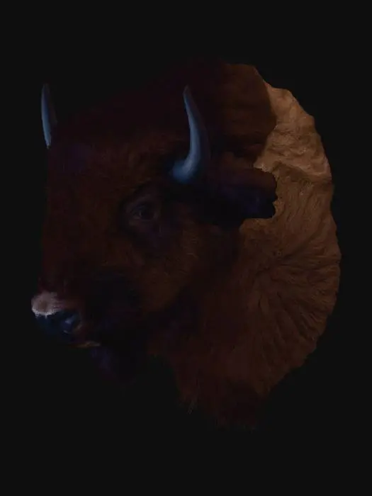 3D model for Curly Bison Portrait