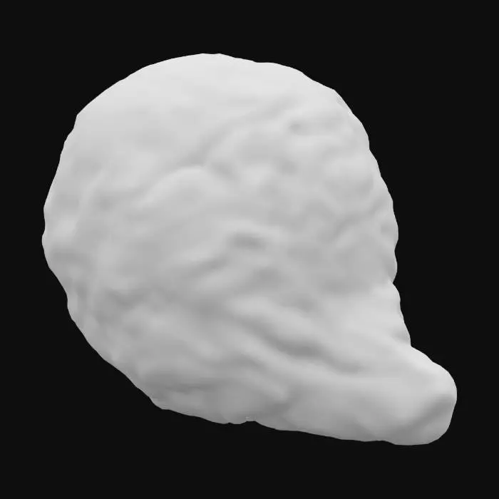 3D model for Kaffir Lime Close-Up