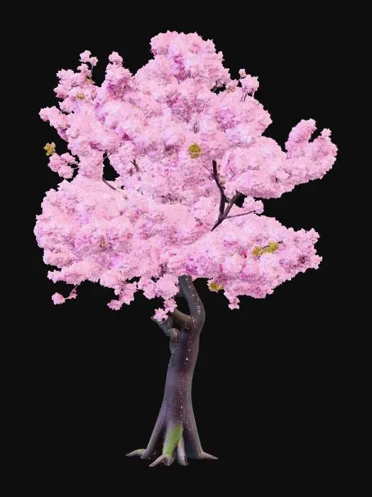 3D model for sakura tree with abundant leaves and in the ground
