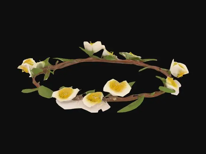3D model for Flower crown of thorns
