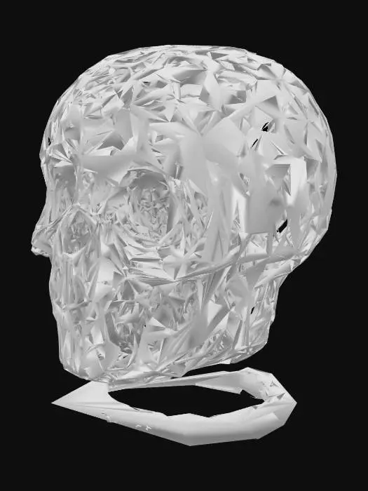 3D model for Entwined Skull