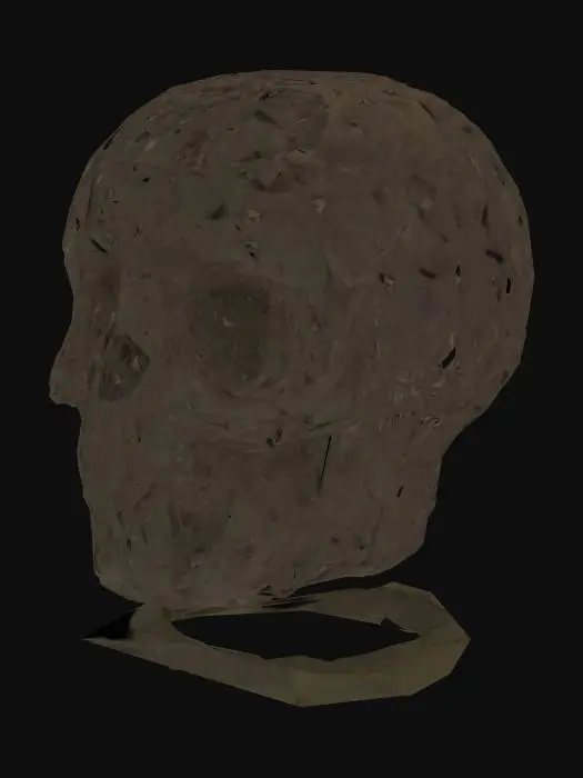 3D model for Entwined Skull