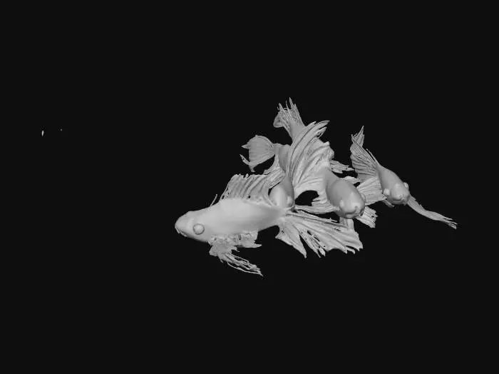 3D model for Harmony in Motion