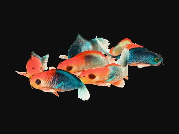 3D model for Graceful Swim