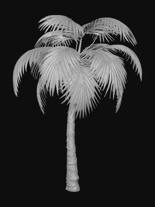 3D model for Tropical Serenity