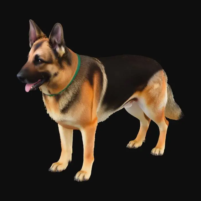 3D model for Exact replica of the reference Image