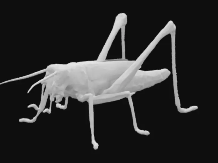 3D model for Grasshopper on Pavement
