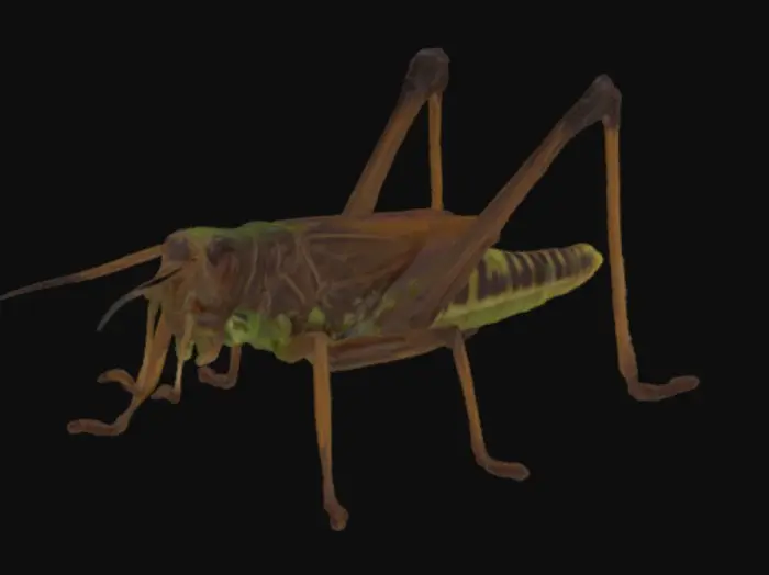 3D model for Grasshopper on Pavement