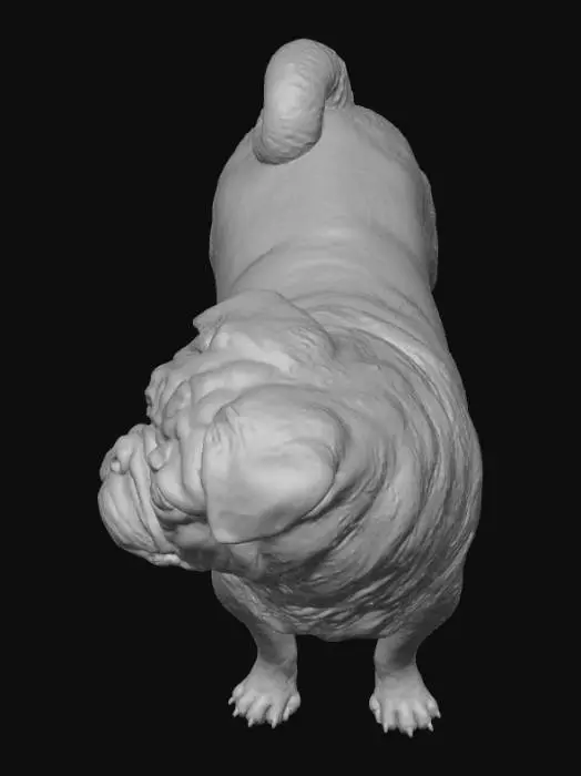 3D model for Mops