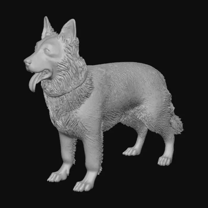 3D model for Реалистичная, пушистая немецкая овчарка в горделивой стоячей позе, с густой и объемной шерстью классического черно-рыжего окраса, детально проработанной для максимальной мягкости. На шее заметен слегка потертый красный собачий ошейник, к которому прикреплена блестящая металлическая бирка овальной формы. На бирке аккуратно выгравировано слово "Pupsik", добавляя индивидуальности и правдоподобия.