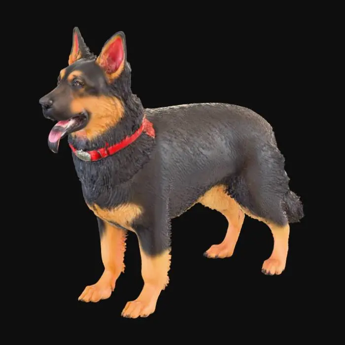3D model for Реалистичная, пушистая немецкая овчарка в горделивой стоячей позе, с густой и объемной шерстью классического черно-рыжего окраса, детально проработанной для максимальной мягкости. На шее заметен слегка потертый красный собачий ошейник, к которому прикреплена блестящая металлическая бирка овальной формы. На бирке аккуратно выгравировано слово "Pupsik", добавляя индивидуальности и правдоподобия.