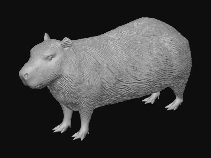 3D model for Capybara in the Spotlight