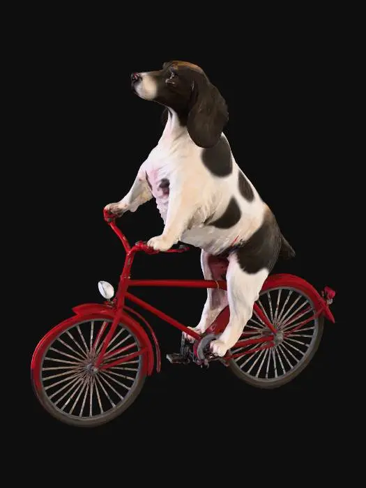 3D model for Cycling Canine Adventure