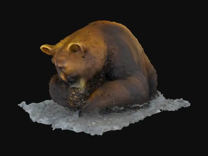 3D model for haz una estatua de un oso sufriendo