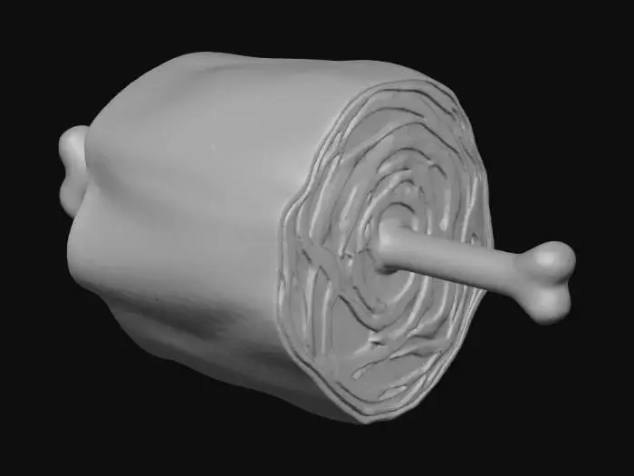3D model for Cartoon Meat Leg