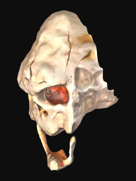 3D model for Z1_SkullRock_LP