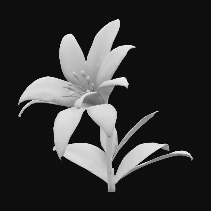 3D model for цветок лилия высокое качество без фона без подложки минимум полигонов