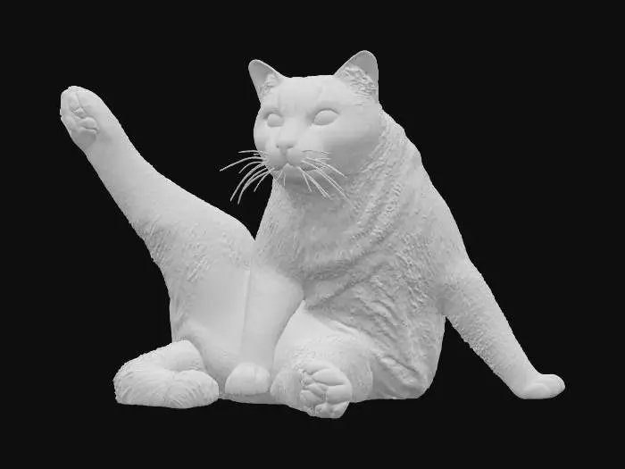 3D model for Stretching Feline注册