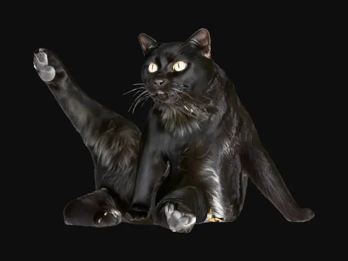 3D model for Stretching Feline注册