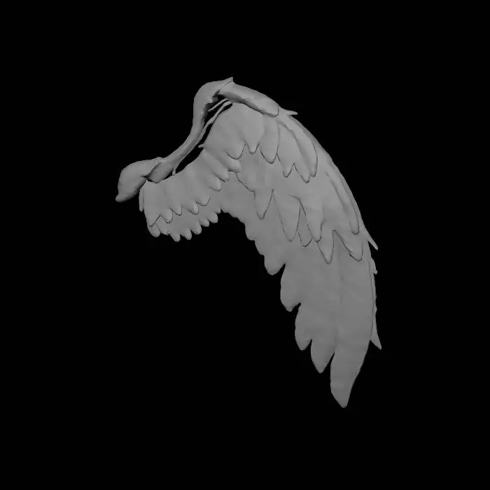 3D model for only left side angelic wing