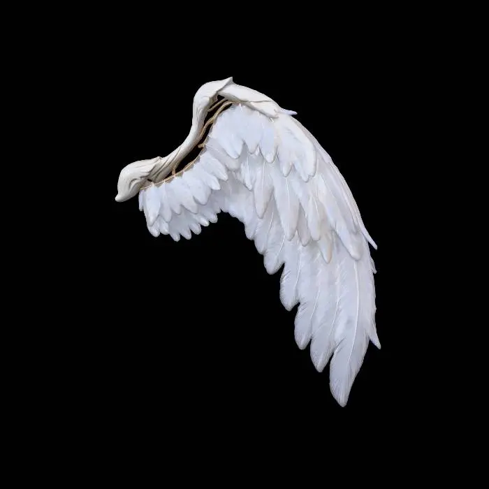 3D model for only left side angelic wing