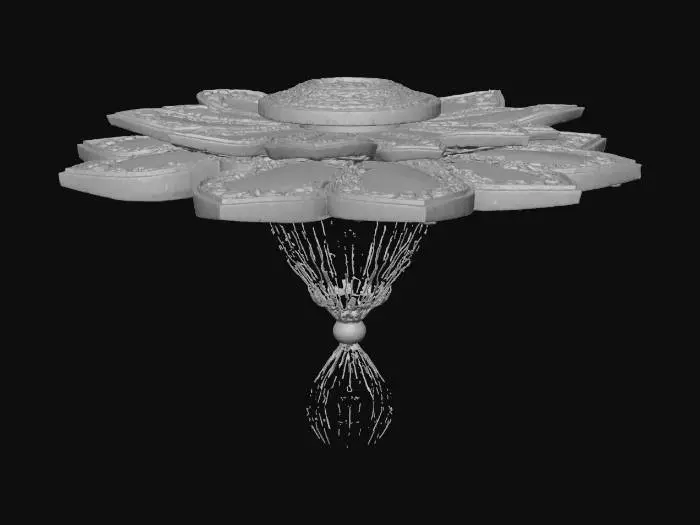 3D model for A realistic Khmer flower–shaped solar panel, inspired by lotus petals arranged in a circular bloom. Each petal is made of smooth blue-tinted photovoltaic glass framed with gold Khmer kbach engravings and delicate bronze edges. The center features a decorative golden hub with Khmer ornamental patterns, connecting to fine metal stems and wiring beneath. The design combines Cambodian traditional artistry with modern solar technology, glowing gently with reflected blue light. Displayed on a clean white or neutral background, high detail, eco-futuristic, elegant Khmer design.