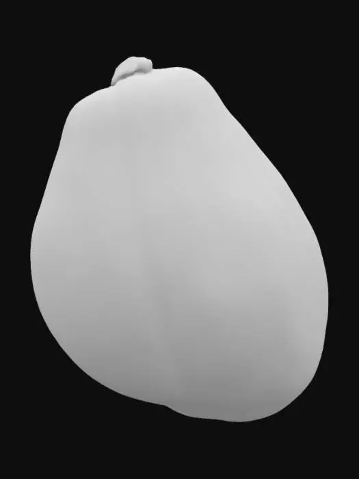 3D model for Papaya