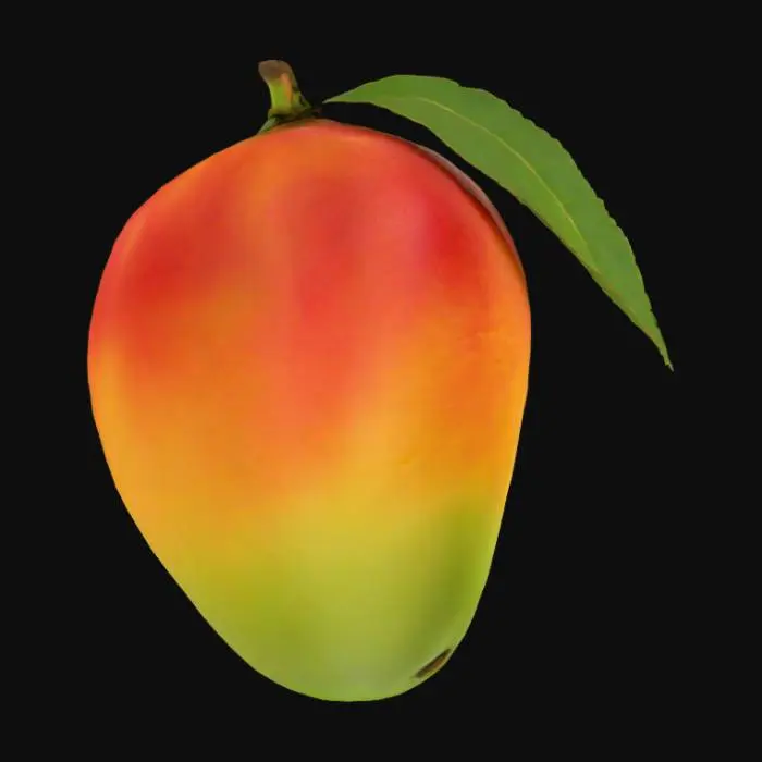 3D model for Mango