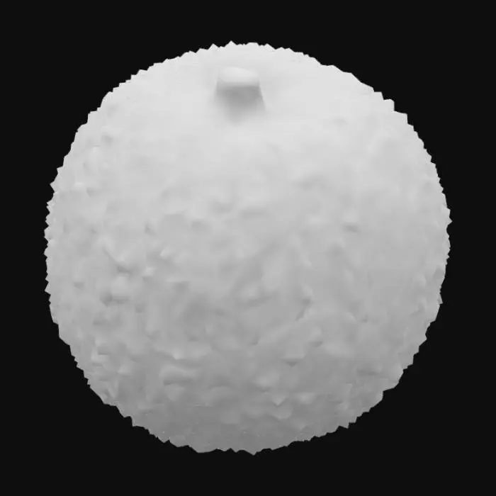 3D model for Lychee
