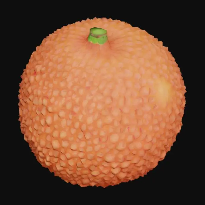 3D model for Lychee