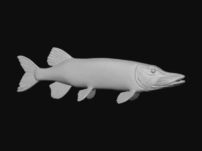 3D model for Pike Portrait