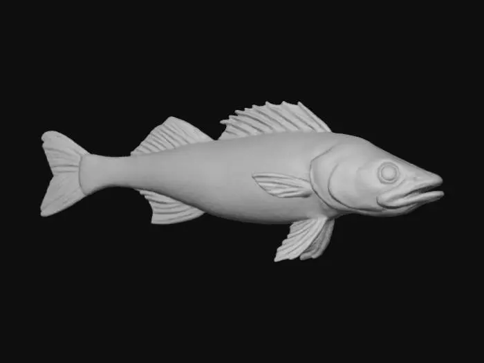 3D model for Perch Display
