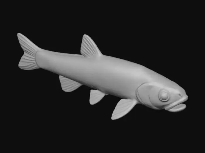 3D model for Minnow Majesty