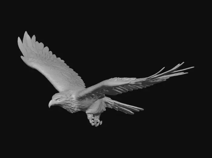 3D model for Eagle in Flight