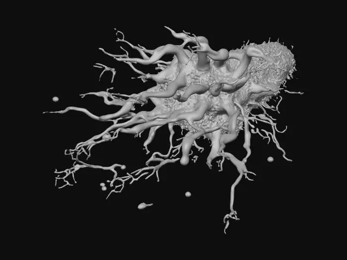 3D model for Generate an AI image of a dynamic explosion of red organic filaments, resembling blood vessels or neural pathways, bursting outward from a single focal point on the right side of the canvas. The filaments should radiate with increasing chaos and density as they spread toward the left, mimicking the energy and motion of a muzzle flash or shockwave. Use a clean white background to highlight the intricate red structures and convey a sense of biological intensity and motion.