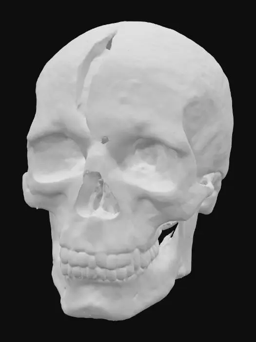3D model for Fractured Remains