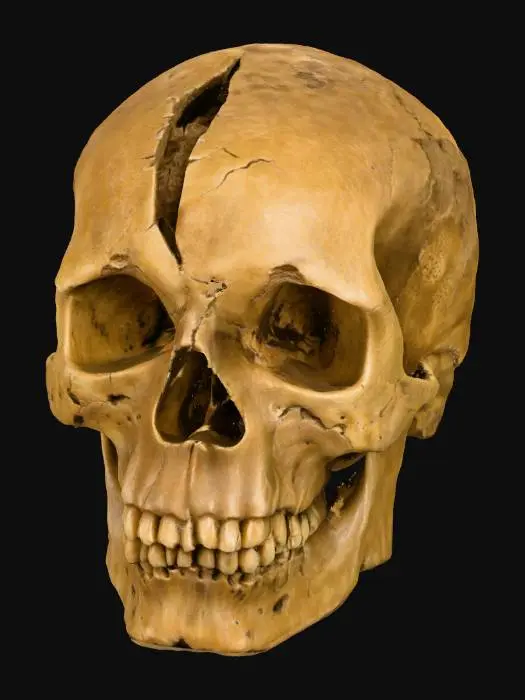 3D model for Fractured Remains