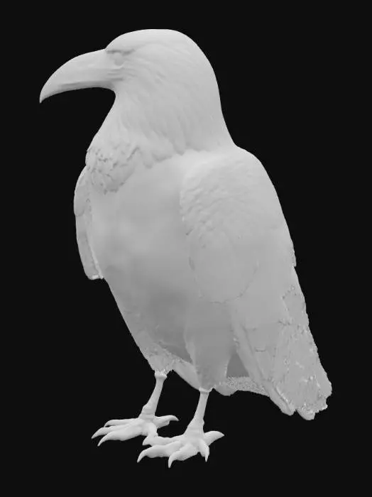 3D model for A large realistic black raven, perched naturally, highly detailed feathers, realistic textures, proportional anatomy, natural pose, cinematic lighting, ready for 3D export, Roblox Studio compatible, FBX format