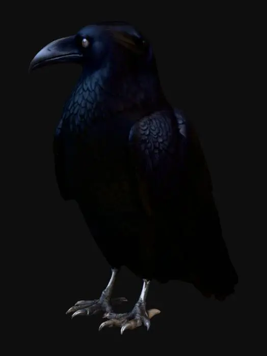 3D model for A large realistic black raven, perched naturally, highly detailed feathers, realistic textures, proportional anatomy, natural pose, cinematic lighting, ready for 3D export, Roblox Studio compatible, FBX format