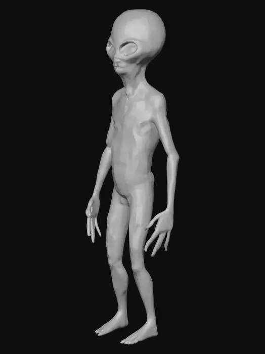 3D model for Extraterrestrial Encounter